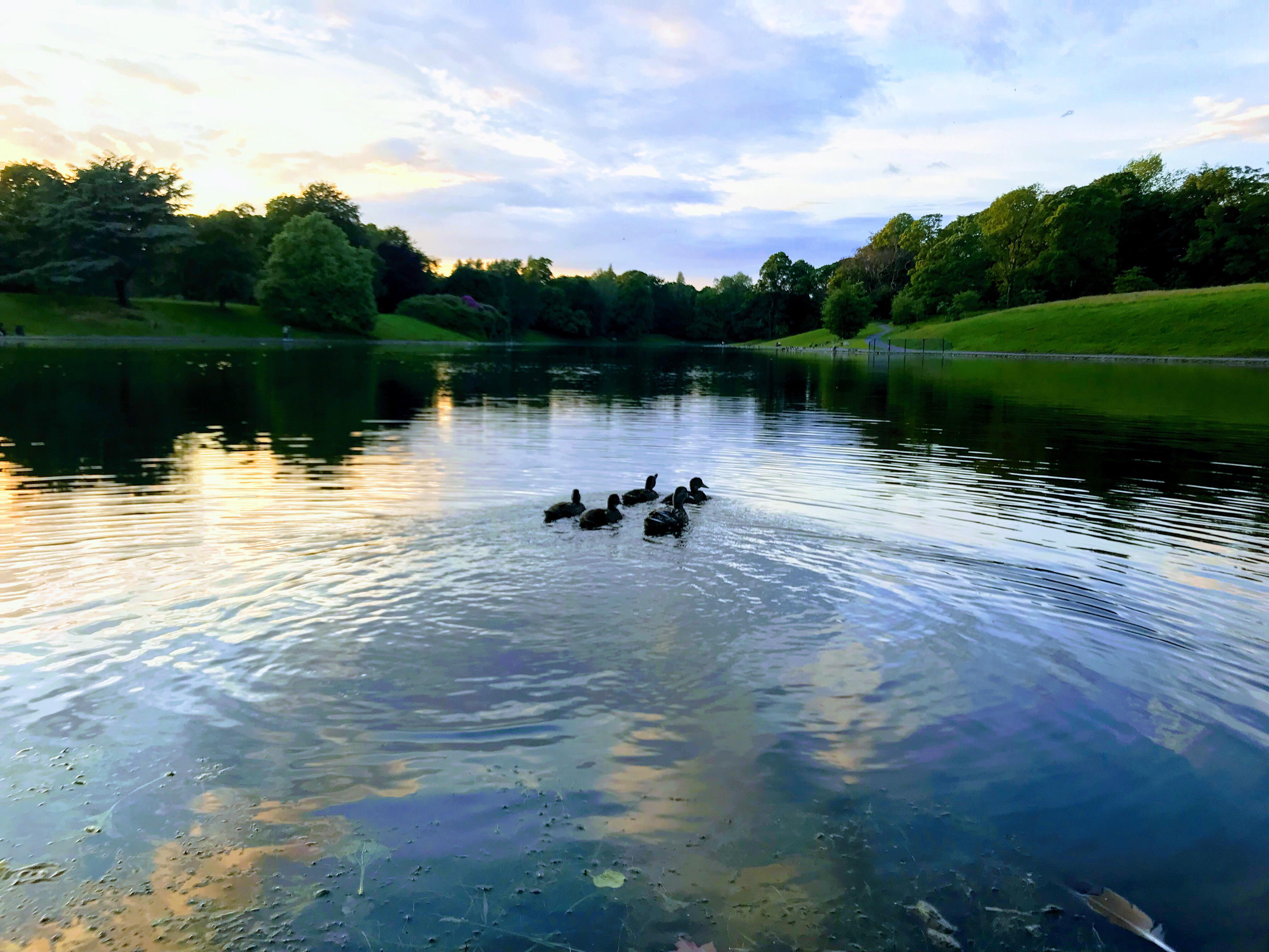 Sefton Park Hotel Liverpool Zewnętrze zdjęcie